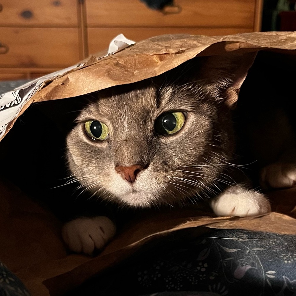 Meet your Posher, Ginny